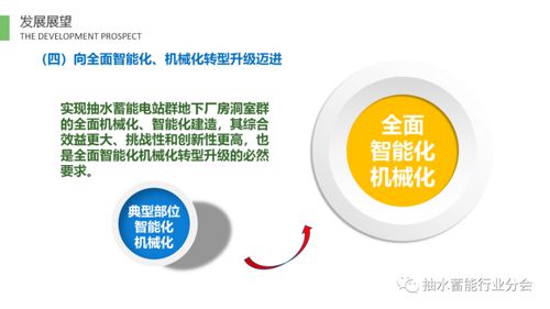 抽水蓄能电站TBM技术发展报告（2020-2021） 掘进创新与工程实践